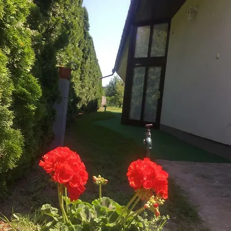 Marta Guest house *